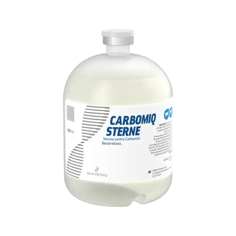 Carbomiq Sterne