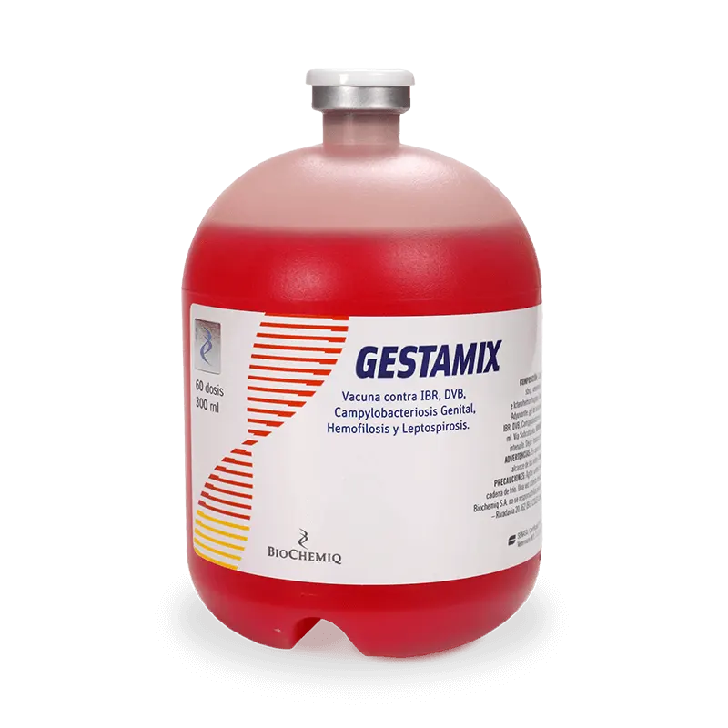 Gestamix