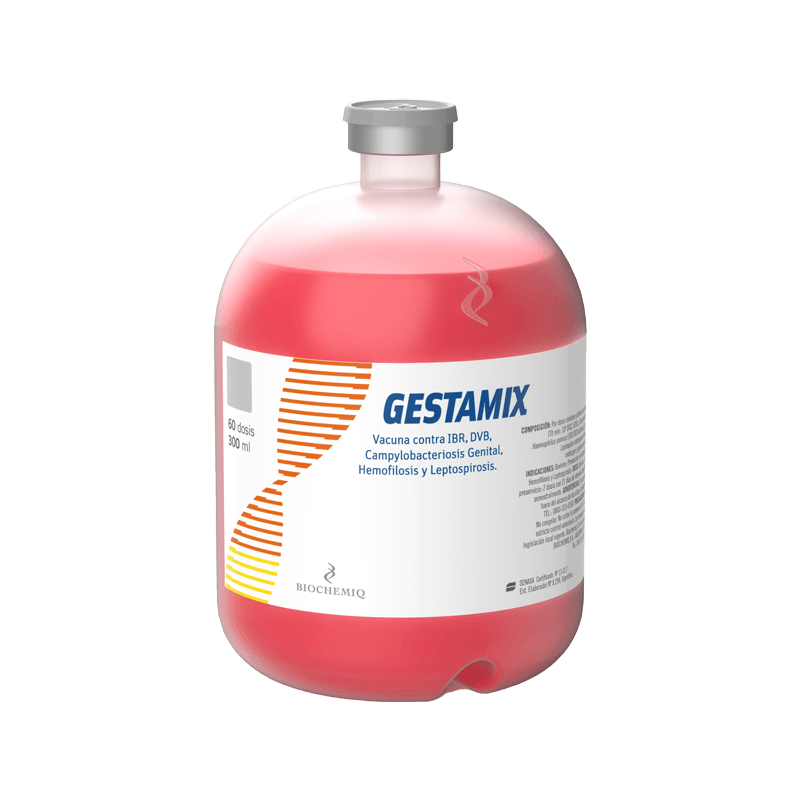 Gestamix