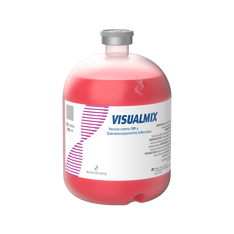Visualmix