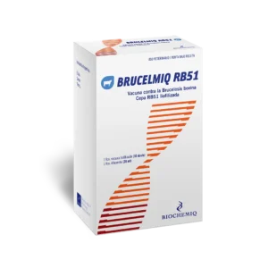 Brucelmiq RB51 - Vacuna contra Brucelosis bovina. Cepa RB51 liofilizada.
